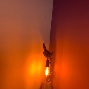 Natural light with Nature soul